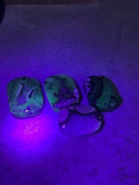 Polished Green Volcano /Agate Palm Stone